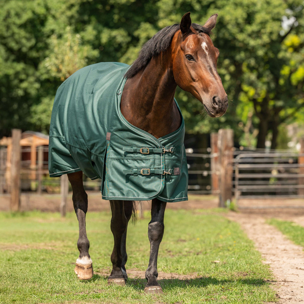 Agradi Horse Tappeto da Esterno 1200D 0gr Bordo Riflettente Verde