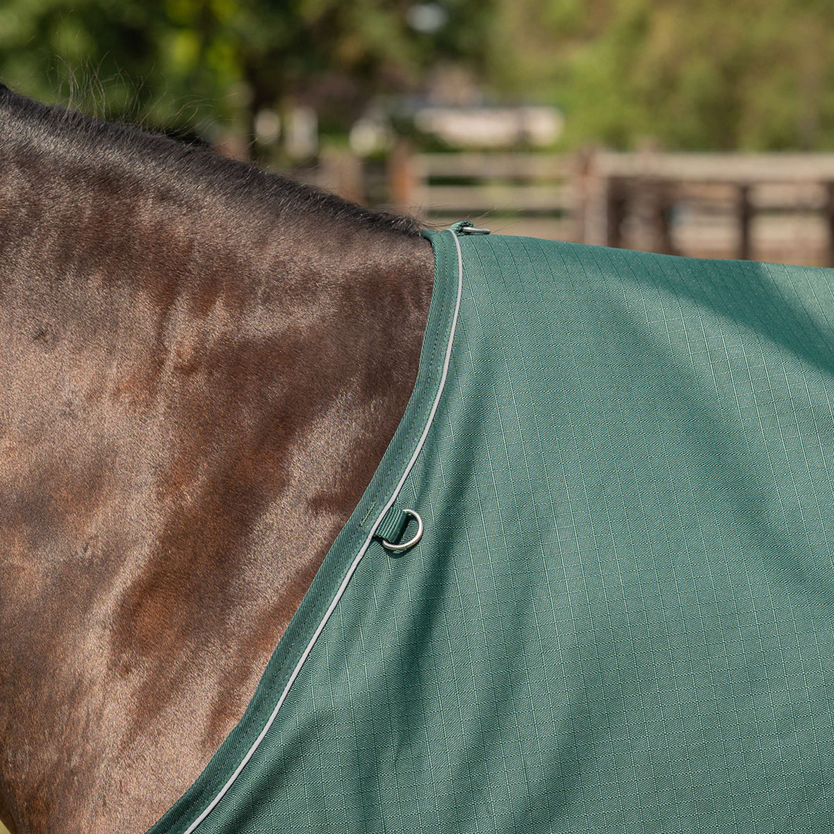 Agradi Horse Tappeto da Esterno 1200D 50gr Bordo Riflettente Verde