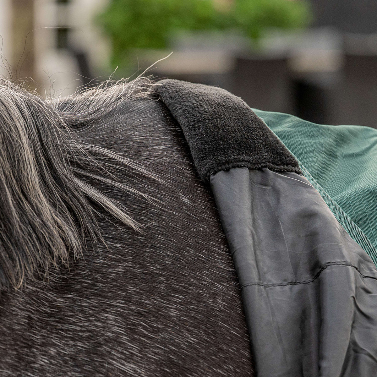 Agradi Horse Tappeto da Esterno 1200D 50gr Bordo Riflettente Verde
