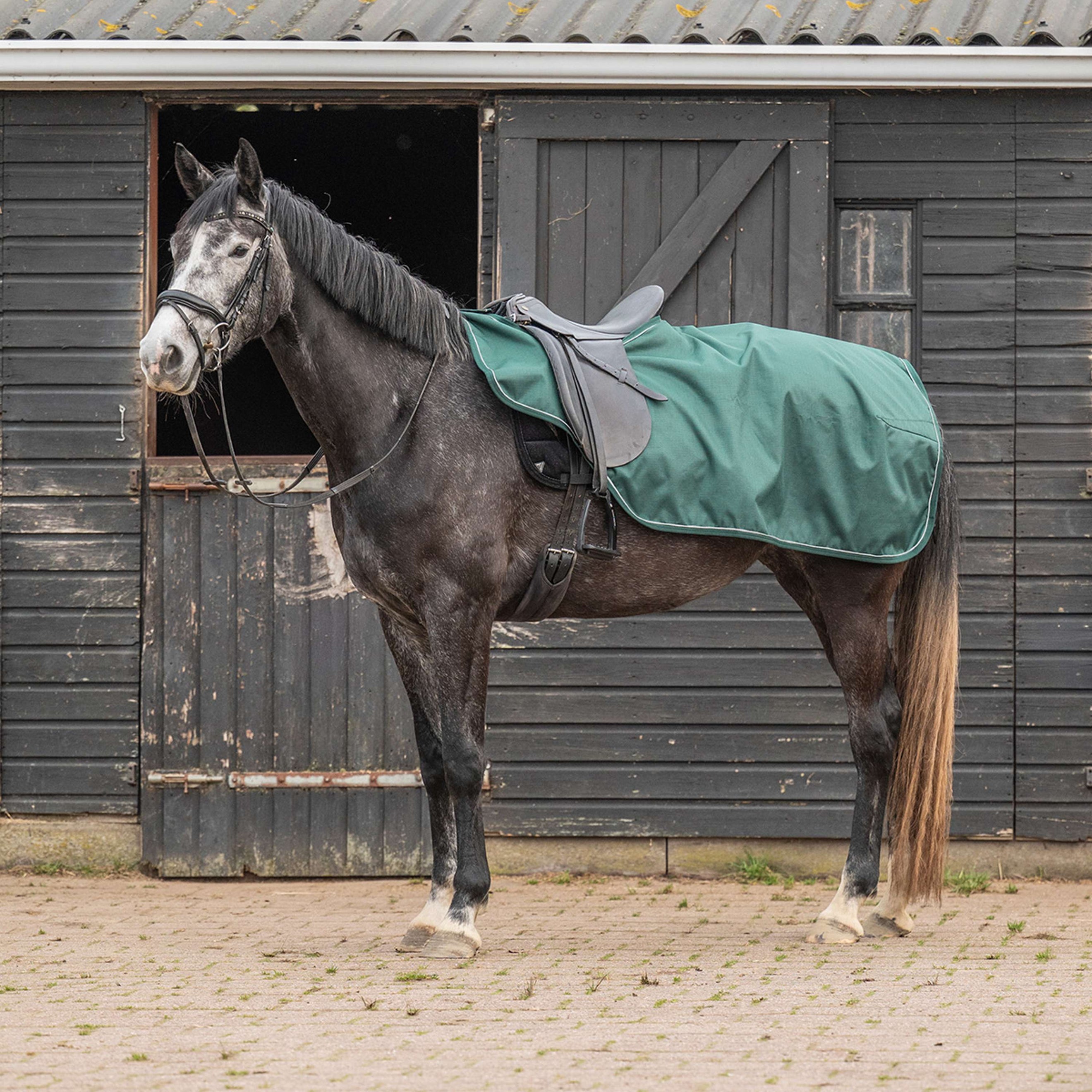 Agradi Horse Coperta da esercizio 1200D Bordo Riflettente Verde Agradi Horse Coperta da esercizio 1200D Bordo Riflettente Verde