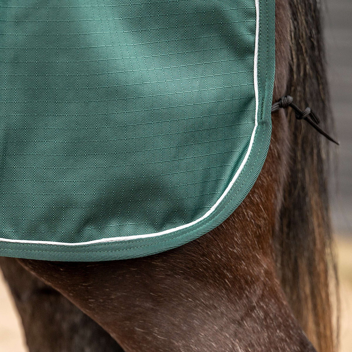 Agradi Horse Coperta da esercizio 1200D Bordo Riflettente Verde