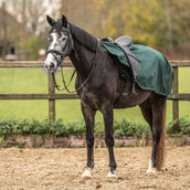 Agradi Horse Coperta da esercizio 1200D Bordo Riflettente Verde