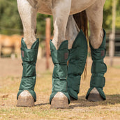Agradi Horse Protettori da trasporto 1200D Verde