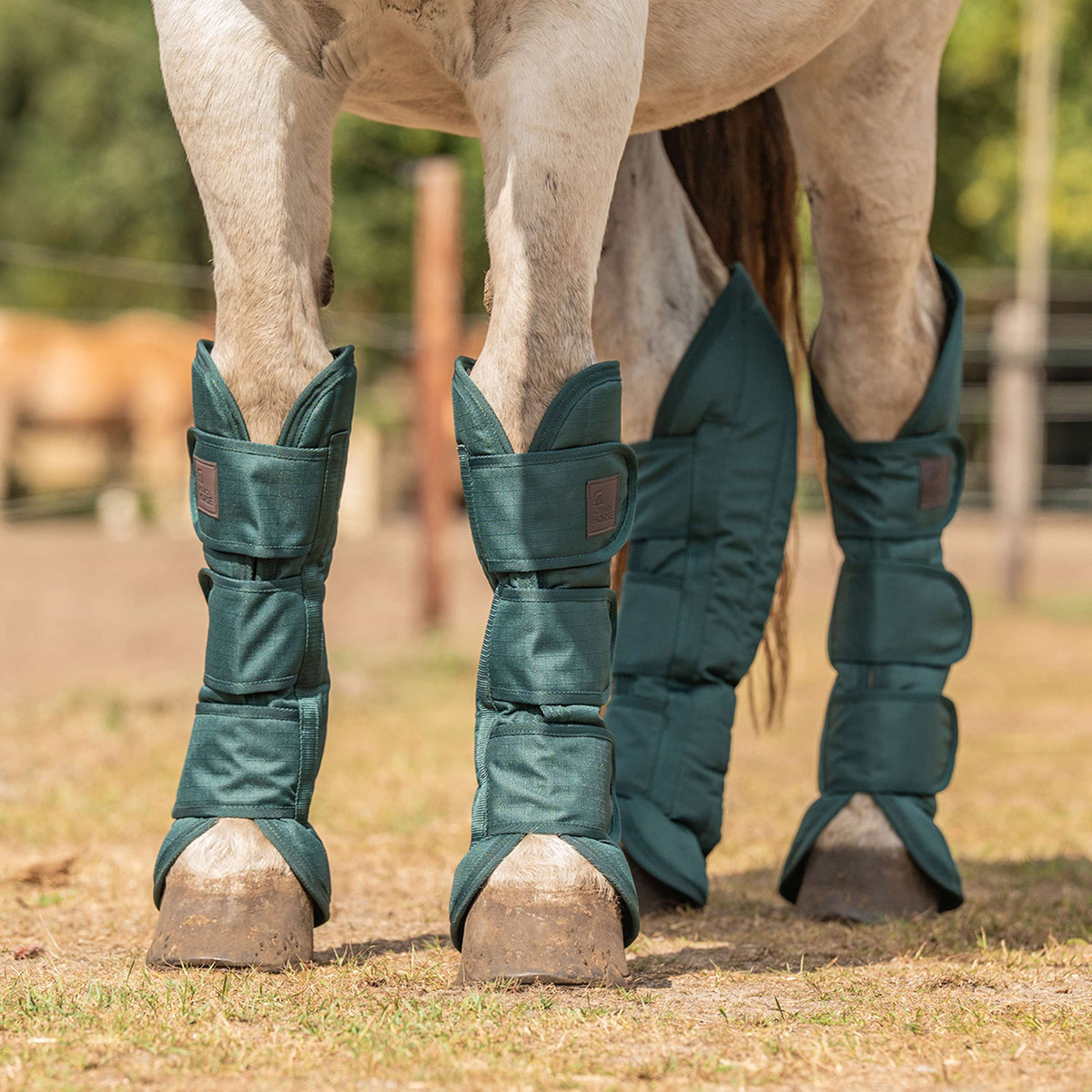 Agradi Horse Protettori da trasporto 1200D Verde