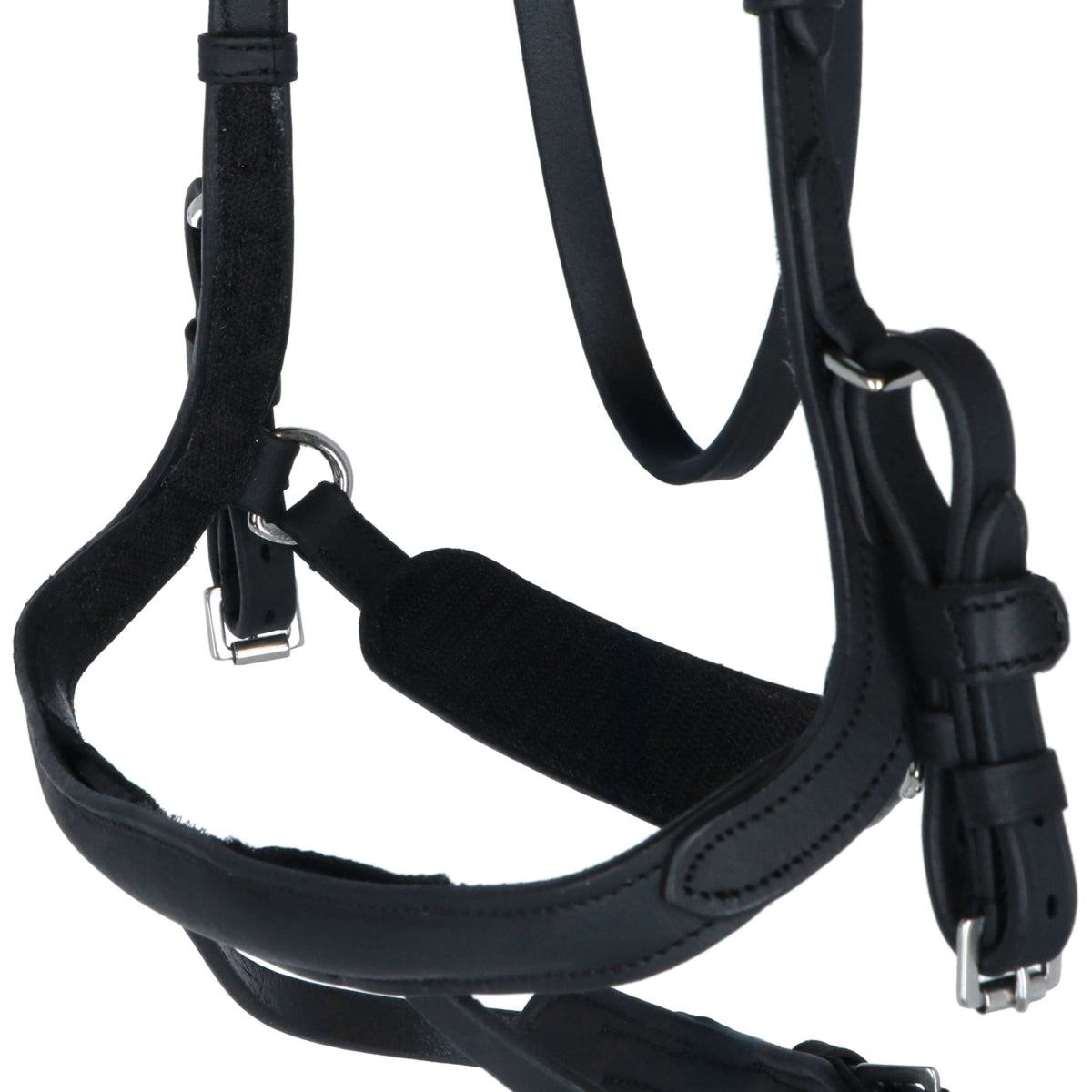 Kavalkade Briglia Caliano Via Nero/Argento