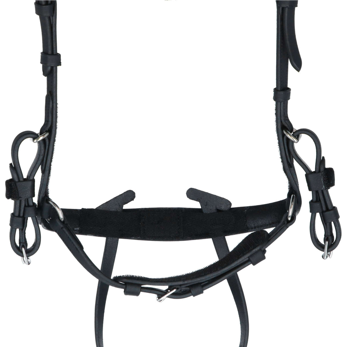 Kavalkade Briglia Caliano Via Nero/Argento