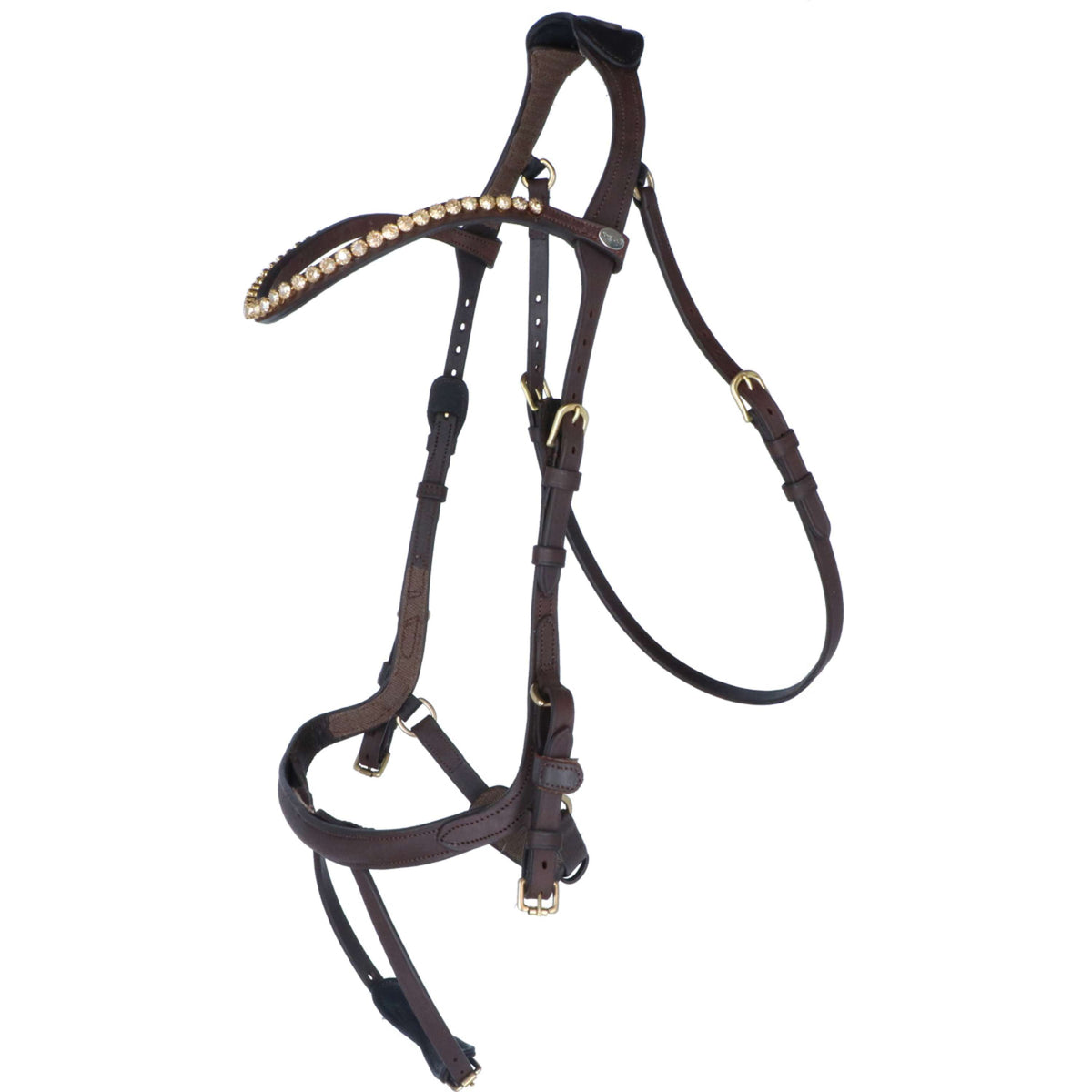 Kavalkade Briglia Caliano Via Marrone/Ottone