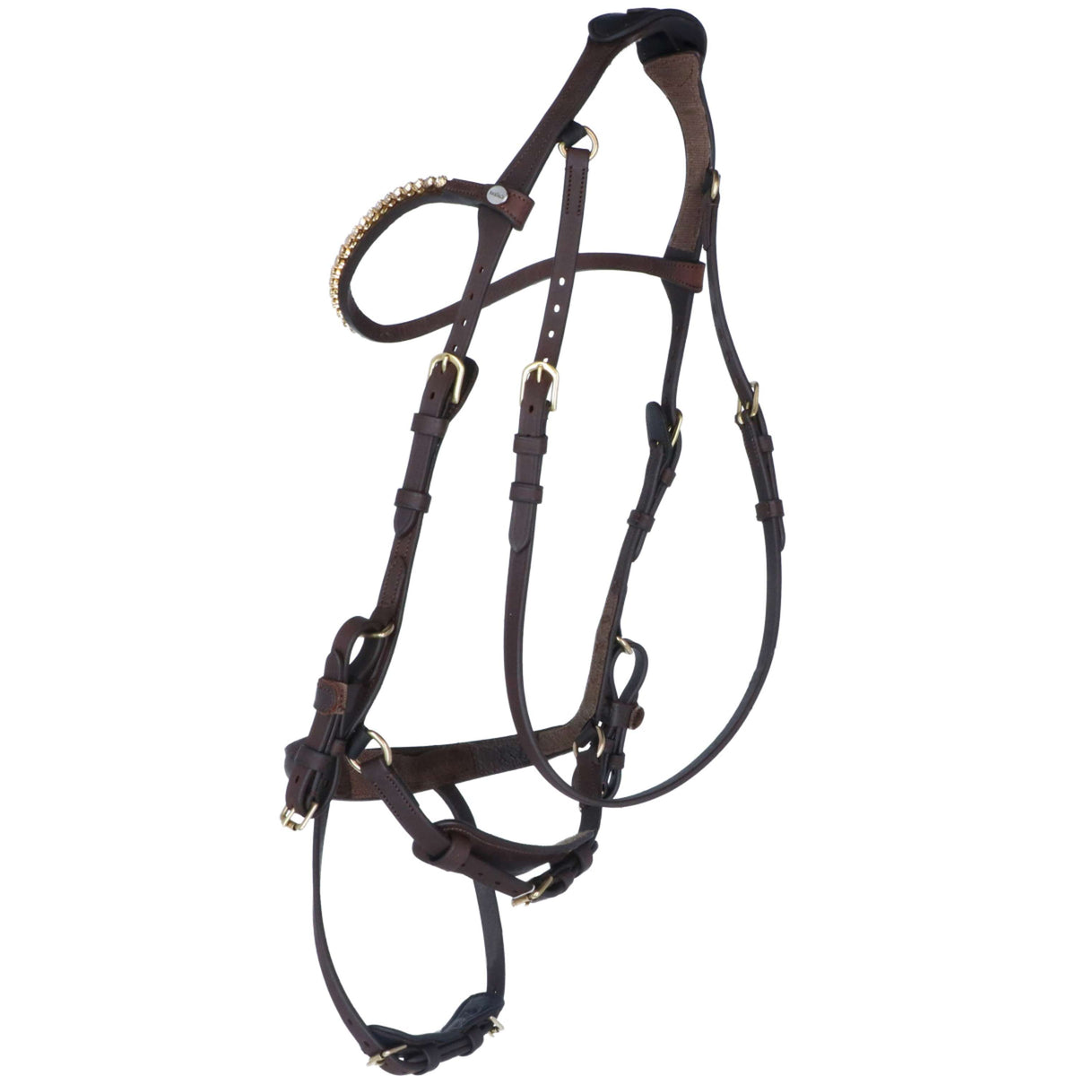 Kavalkade Briglia Caliano Via Marrone/Ottone