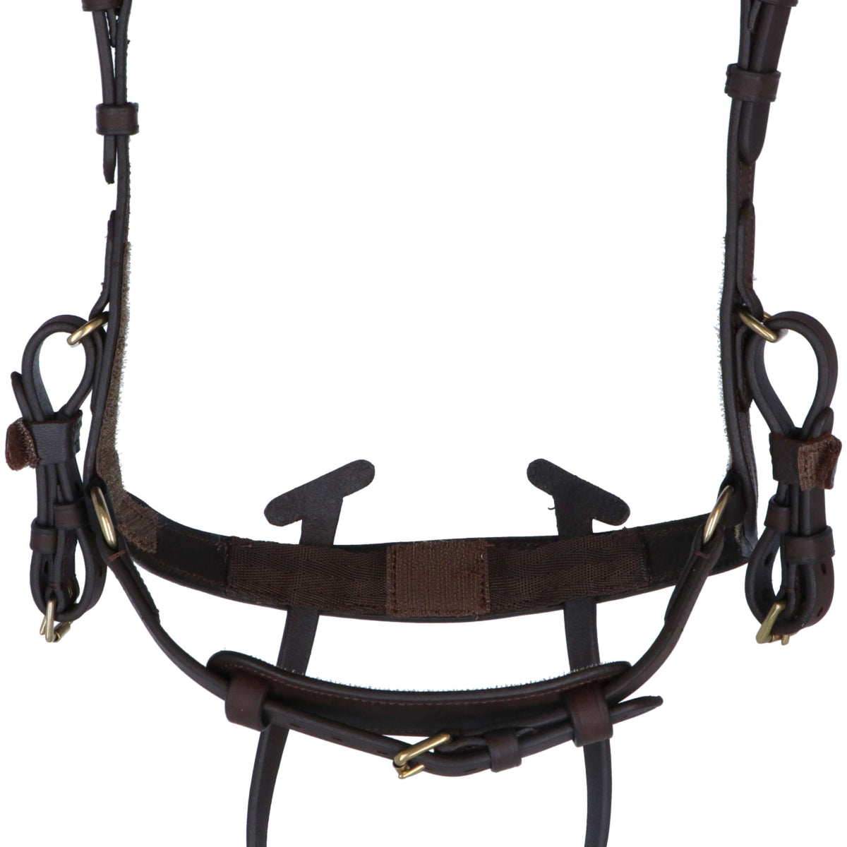 Kavalkade Briglia Caliano Via Marrone/Ottone