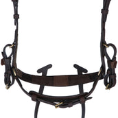 Kavalkade Briglia Caliano Via Marrone/Ottone