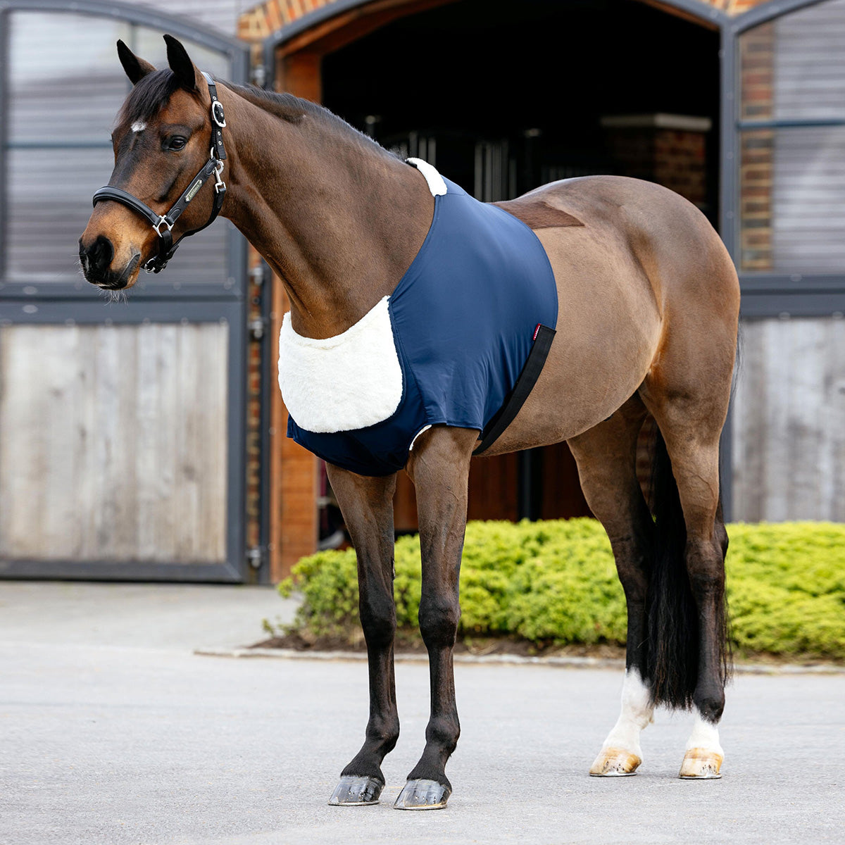 LeMieux Protettore Torace Soft Anti-Rubbing Navy