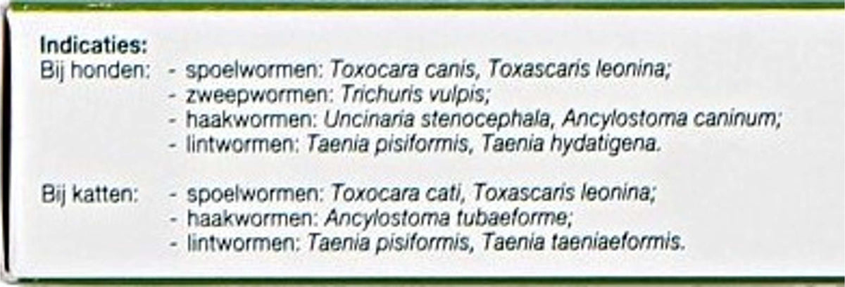 Flubenol KH Iniettore per pasta vermifuga Cane/Gatto