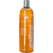 Carr & Day & Martin Shampoo Gallop Colour Castagno