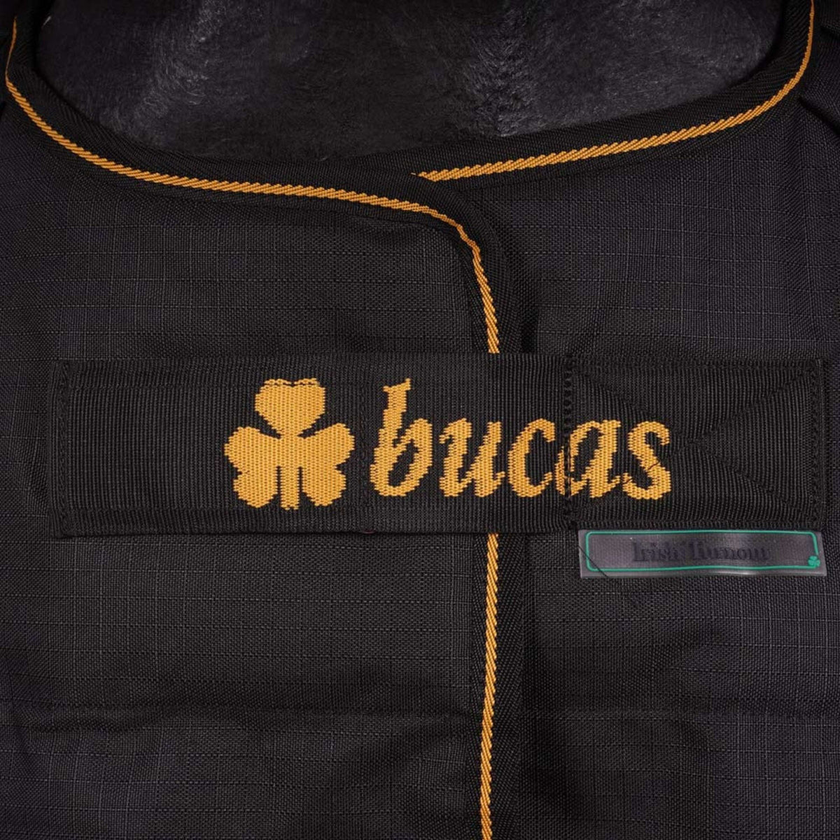Bucas Affluenza alle urne irlandese Nero/Oro