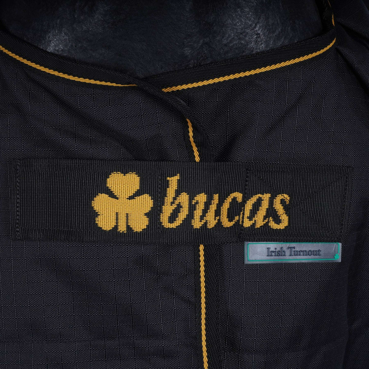 Bucas Luce di affluenza alle urne Nero/Oro