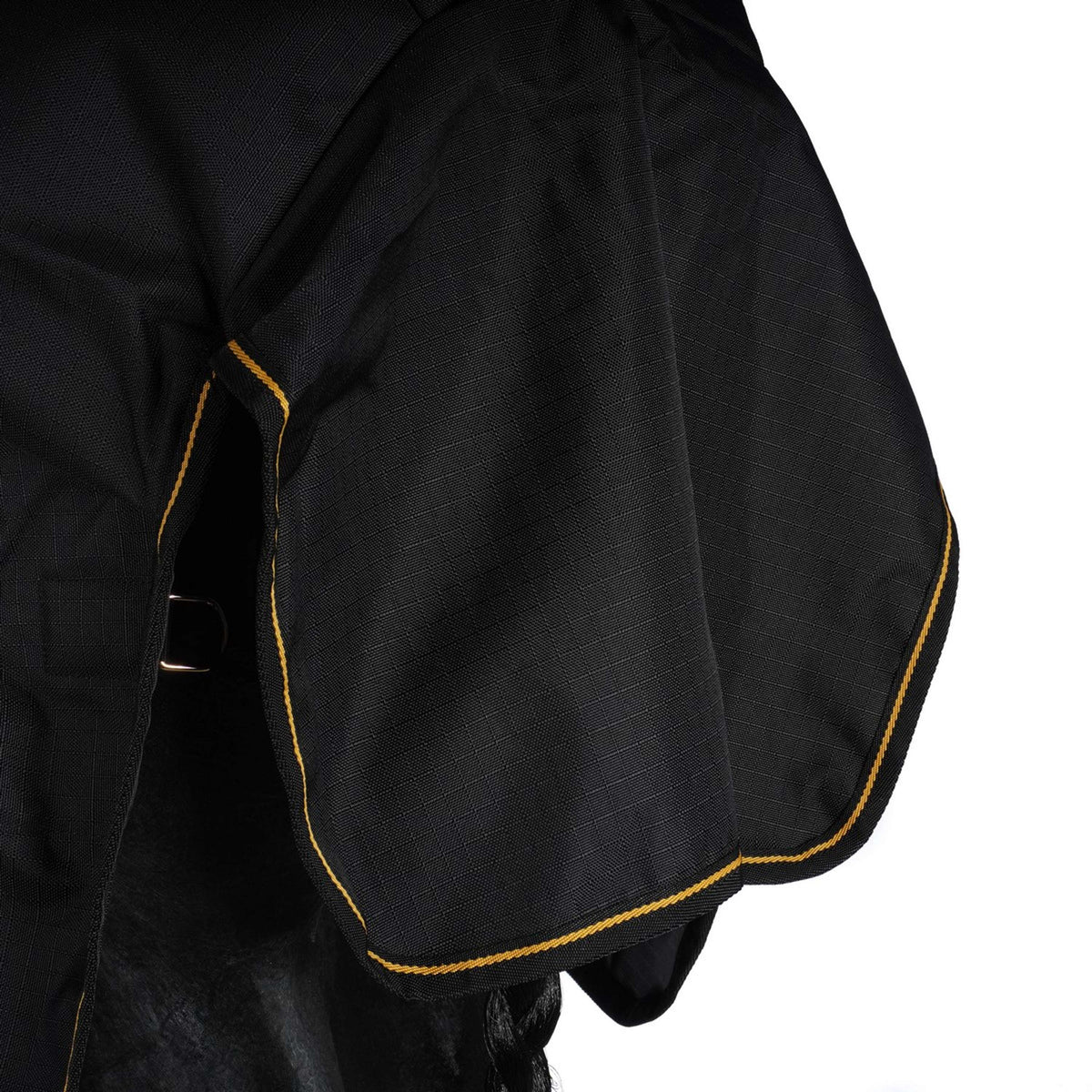 Bucas Luce di affluenza alle urne Nero/Oro