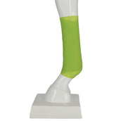 Kerbl Bende Equilastic Verde