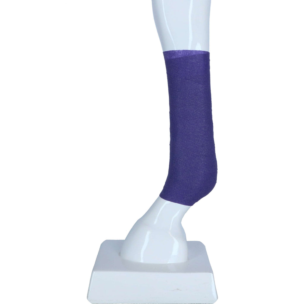 Kerbl Bende Equilastic Viola