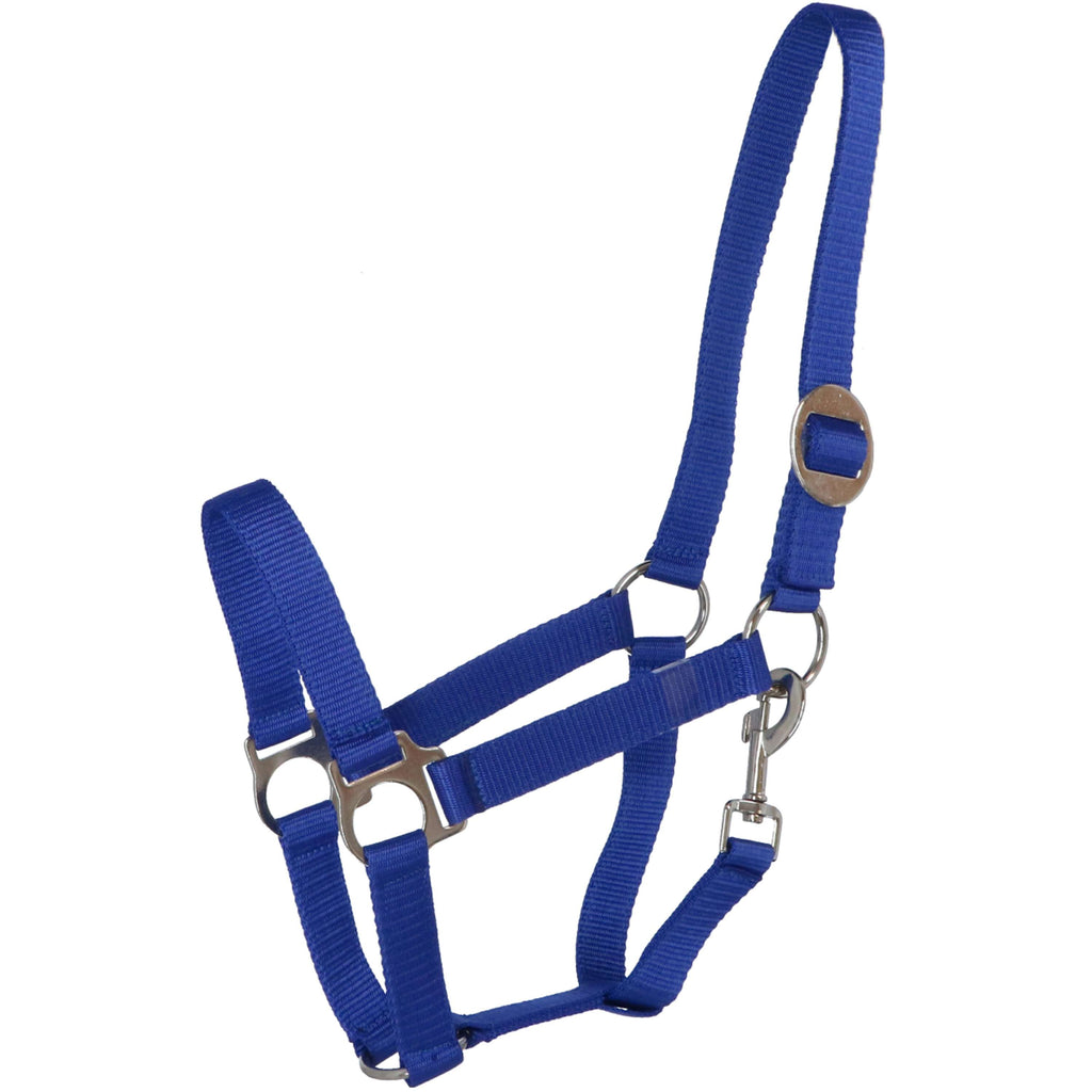 Premiere Cavezza Standaard Poly Blu