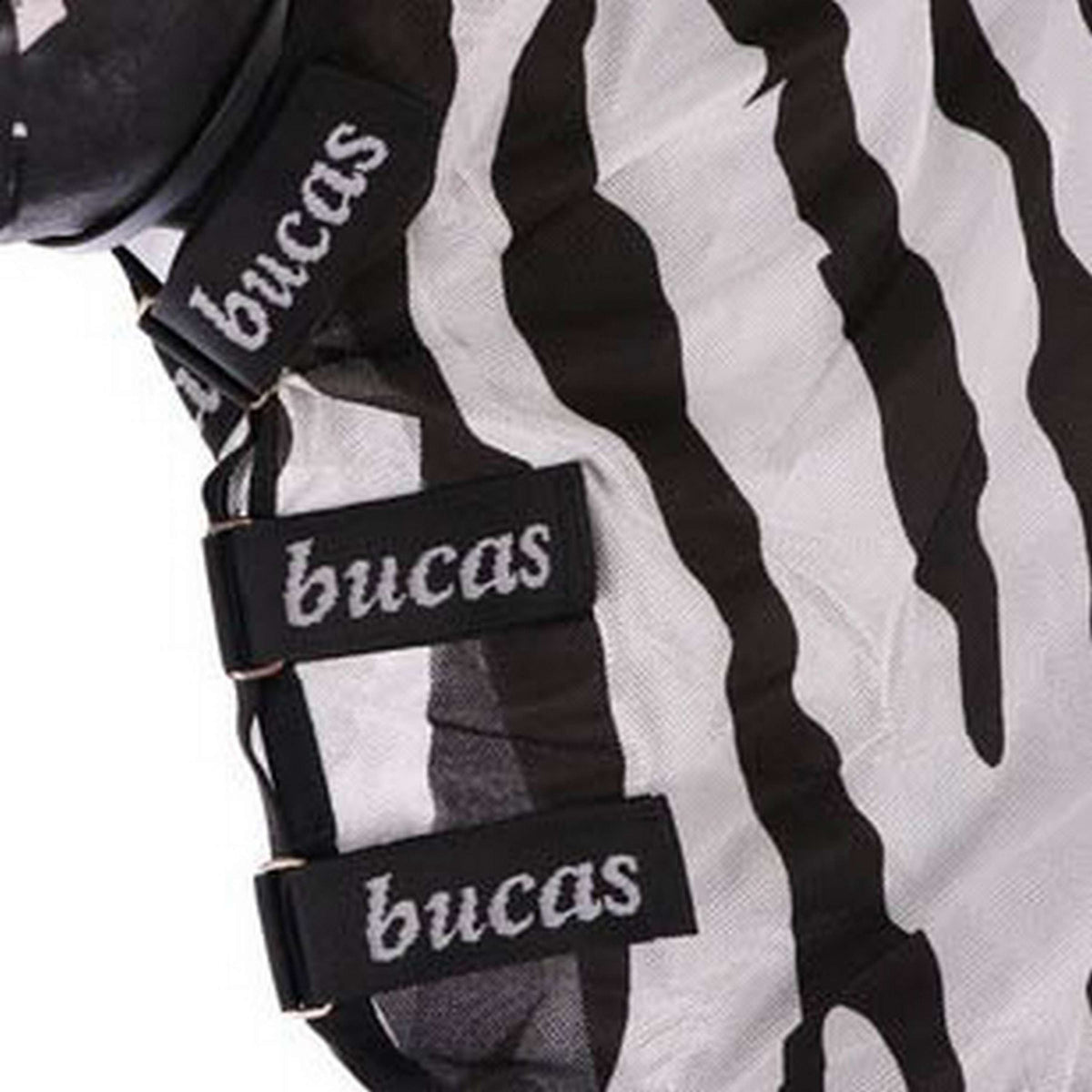 Bucas Ronzio fuori Zebra