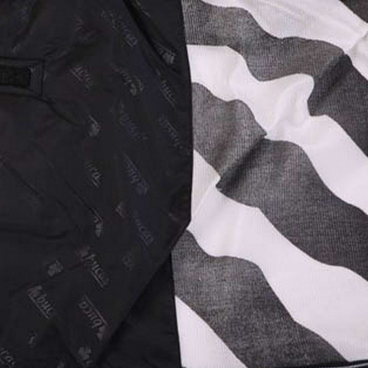 Bucas Ronzio fuori Zebra