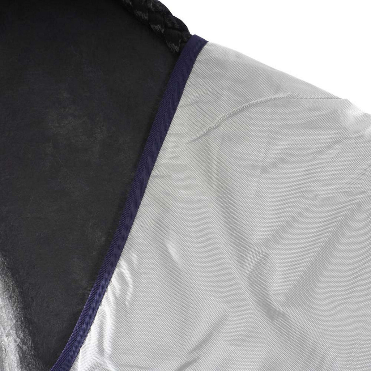Bucas Luce di affluenza alle urne Argento