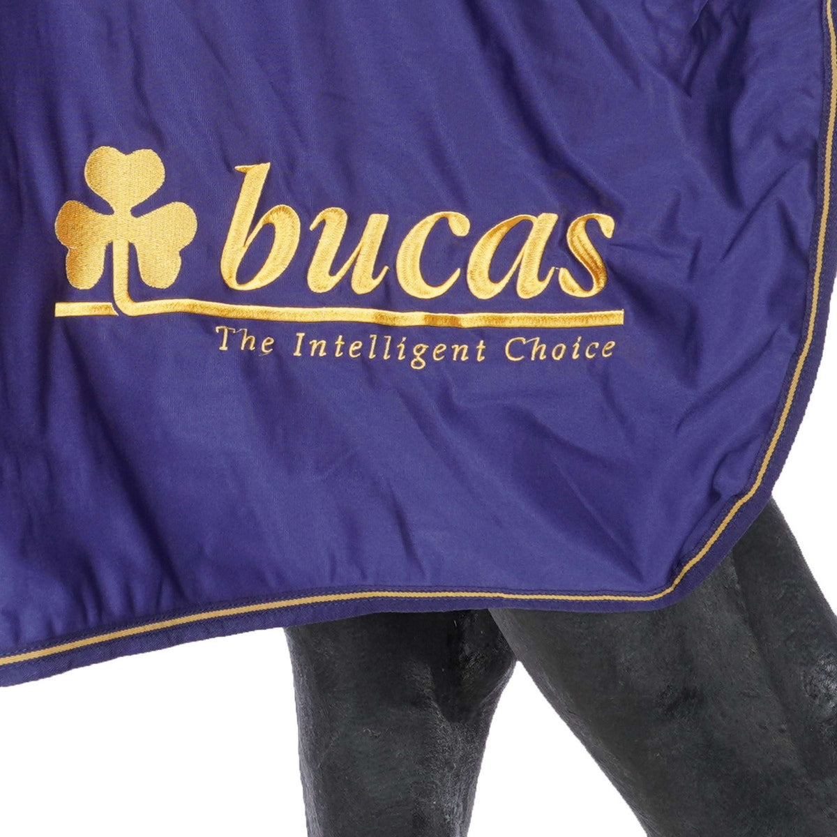 Bucas Price Cooler Logo Bucas blu scuro/oro