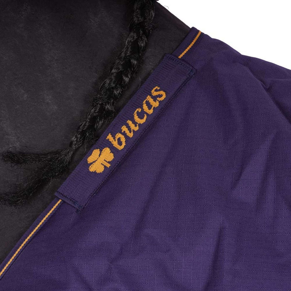 Bucas Affluenza alle urne irlandese Navy/Gold