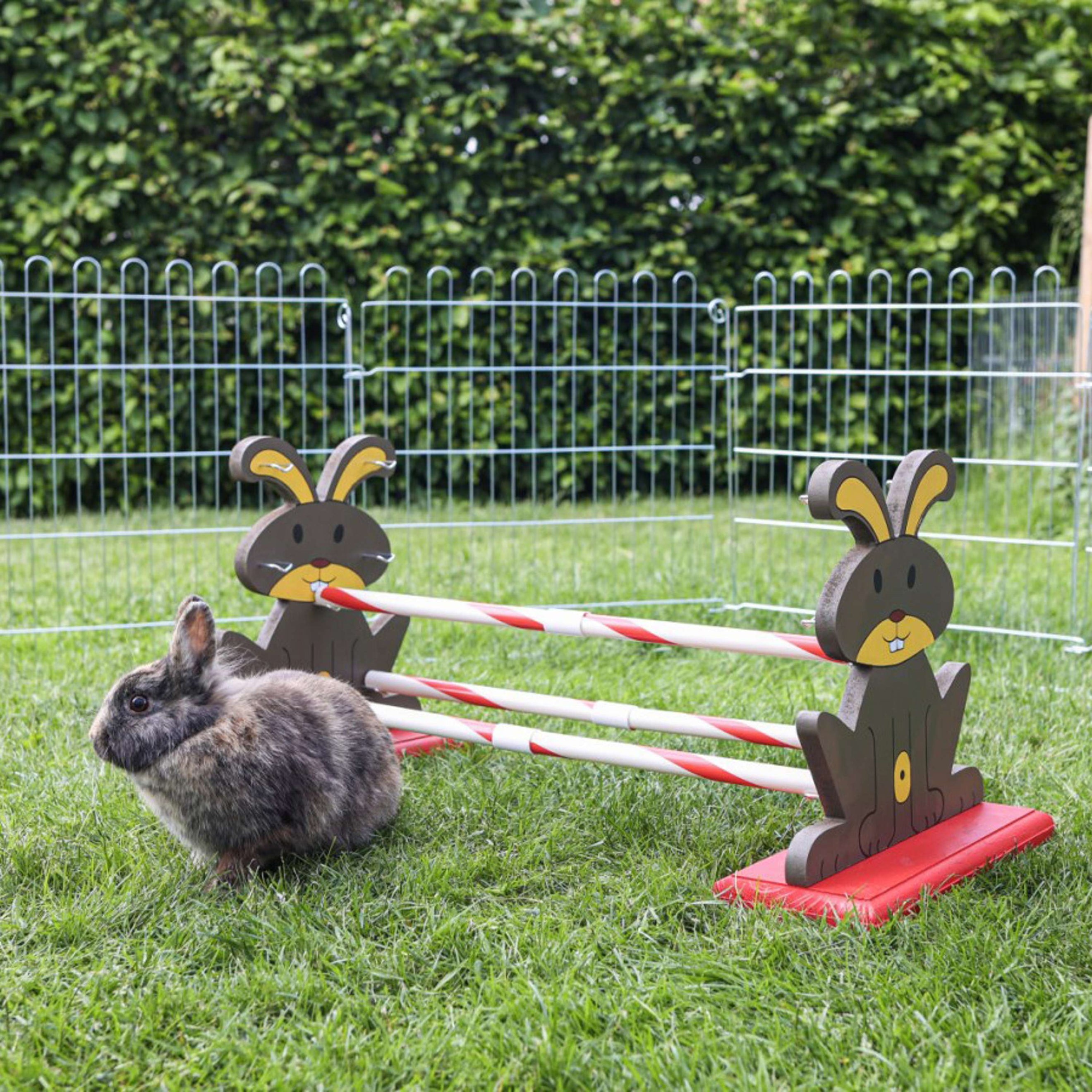 Kerbl Coniglio Hurdle Agility Kerbl Coniglio Hurdle Agility