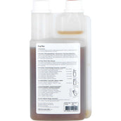 Excellent Flessione del cane