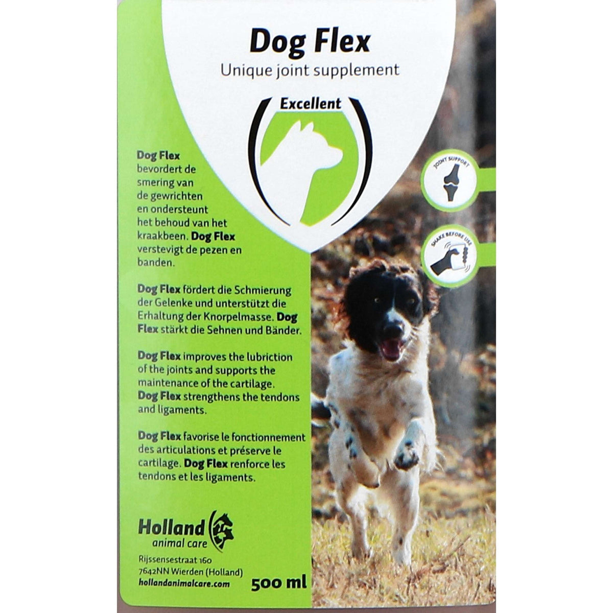 Excellent Flessione del cane