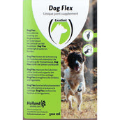 Excellent Flessione del cane