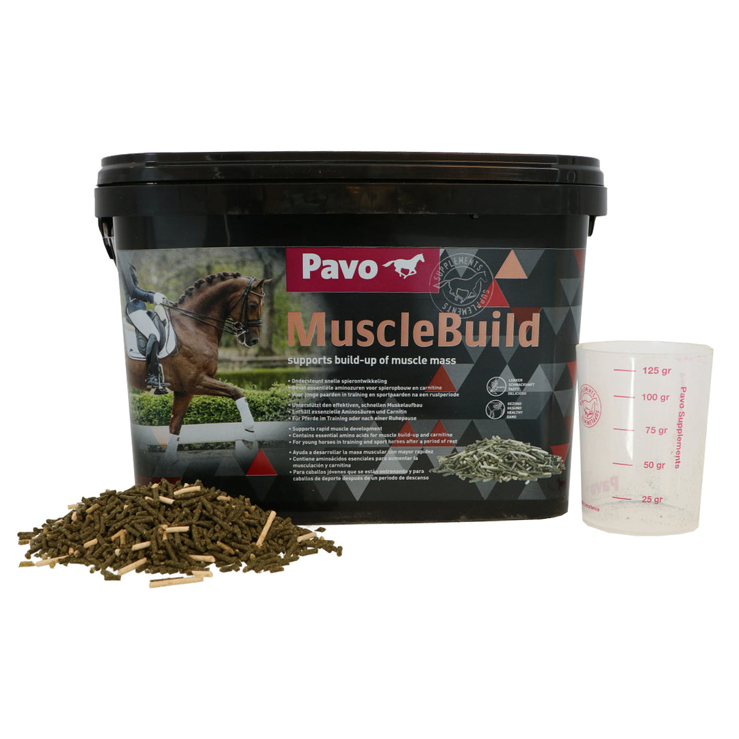 Pavo Costruzione muscolare Refill