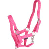 Harry's Horse Cavezza per puledro Rosa chiaro