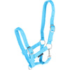 Harry's Horse Cavezza per puledro Azzurro