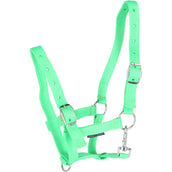Harry's Horse Cavezza per puledro Lime