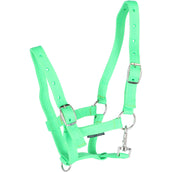 Harry's Horse Cavezza per puledro Lime