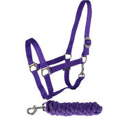 Harry's Horse Set Cavezza Initial Viola
