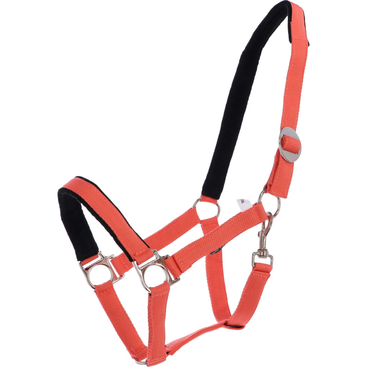 Harry's Horse Capezzina Padded Arancia