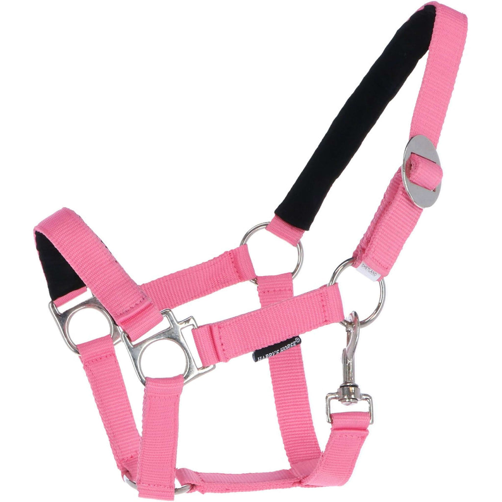 Harry's Horse Cavezza Padded Rosa