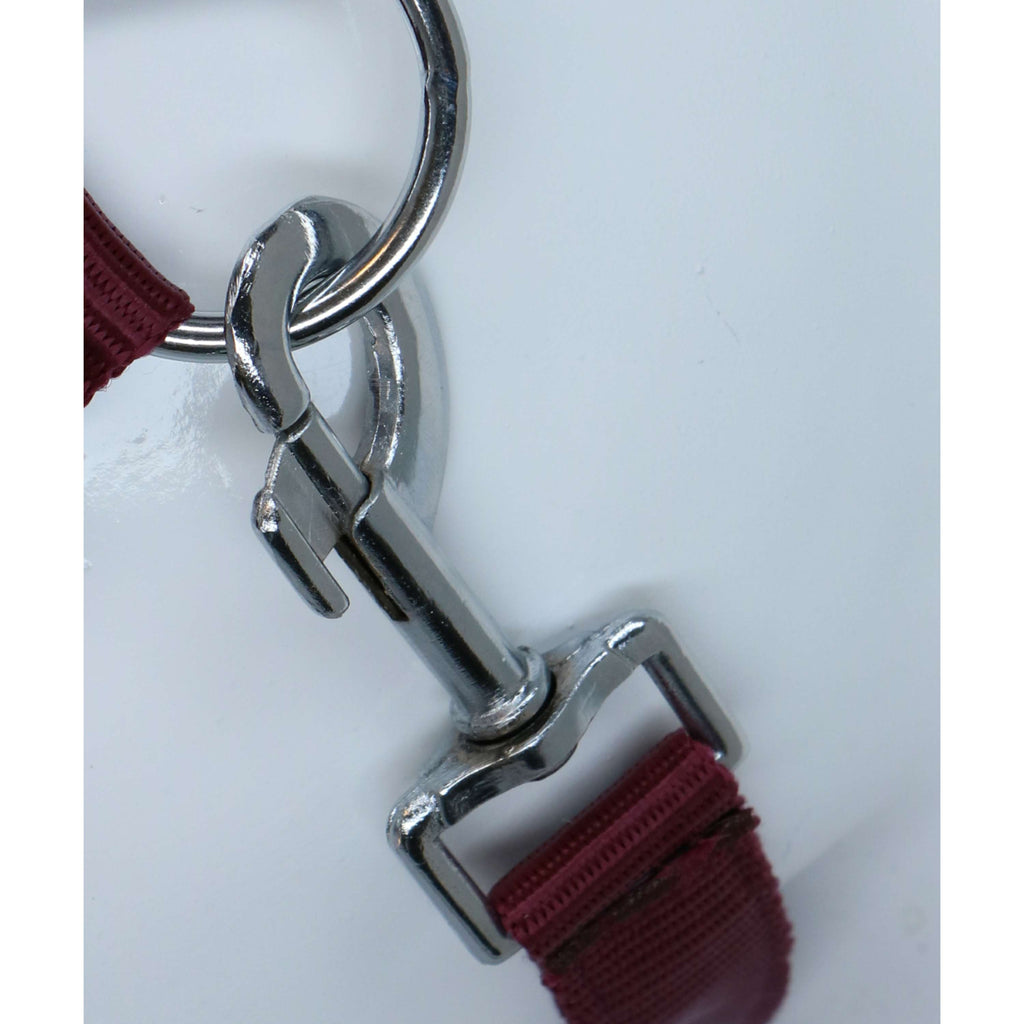 HKM Cavezza Stars Economy Rosso scuro