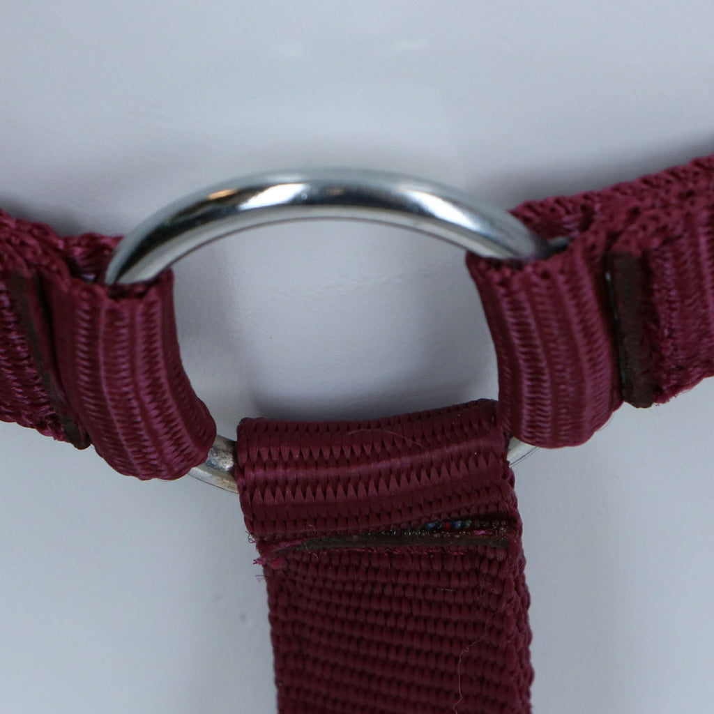 HKM Cavezza Stars Economy Rosso scuro