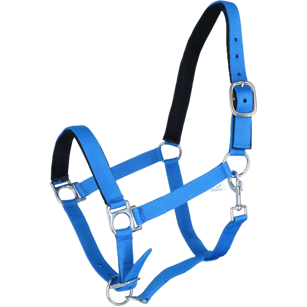 HKM Cavezza Stars Softice Blu cobalto