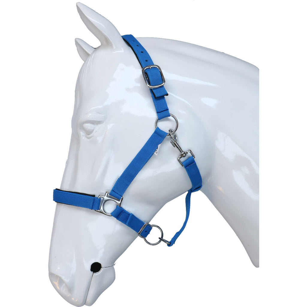 HKM Cavezza Stars Softice Blu cobalto