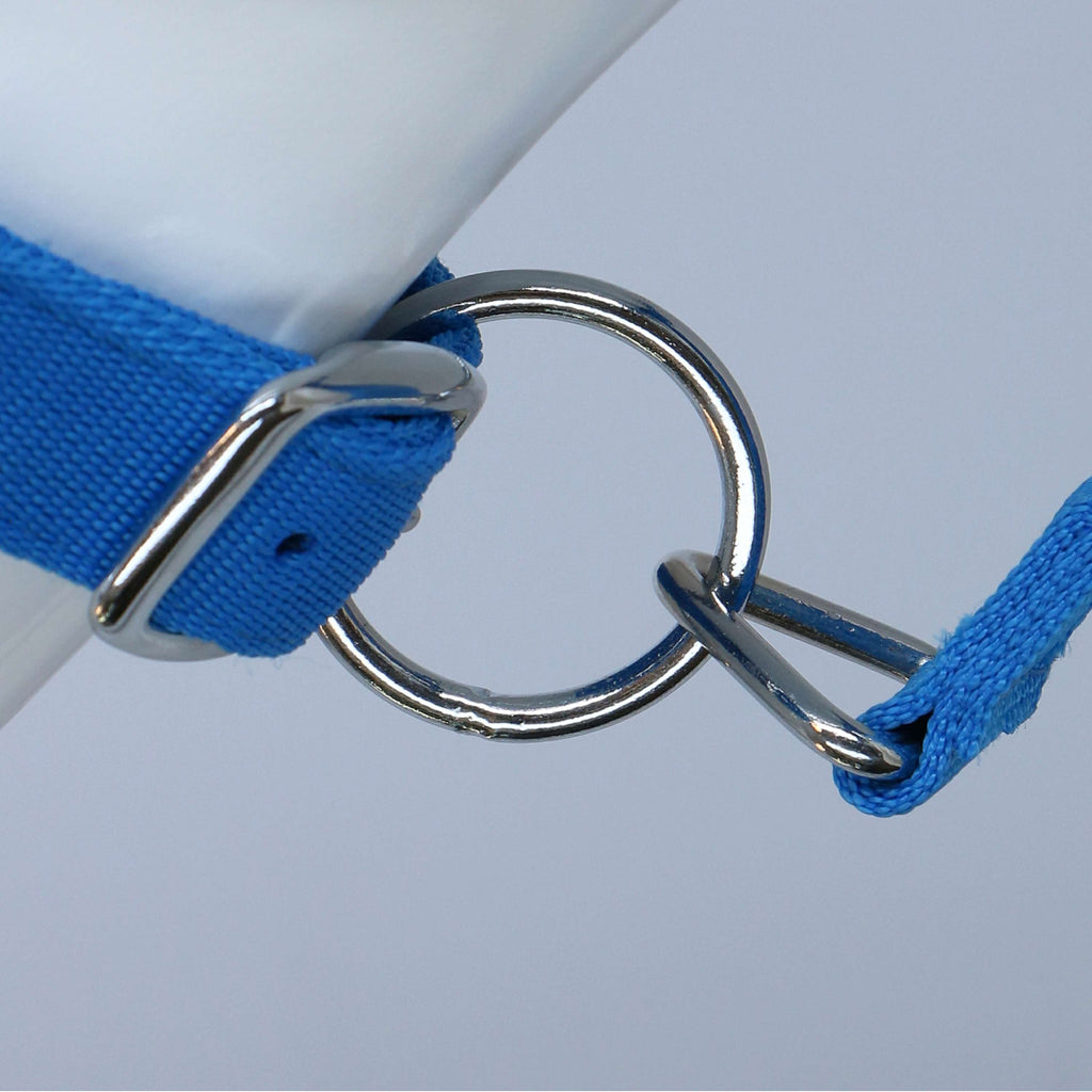 HKM Cavezza Stars Softice Blu cobalto