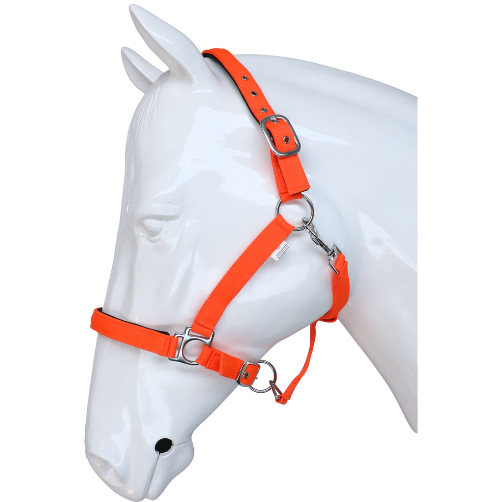 HKM Cavezza Stars Softice Arancione neon
