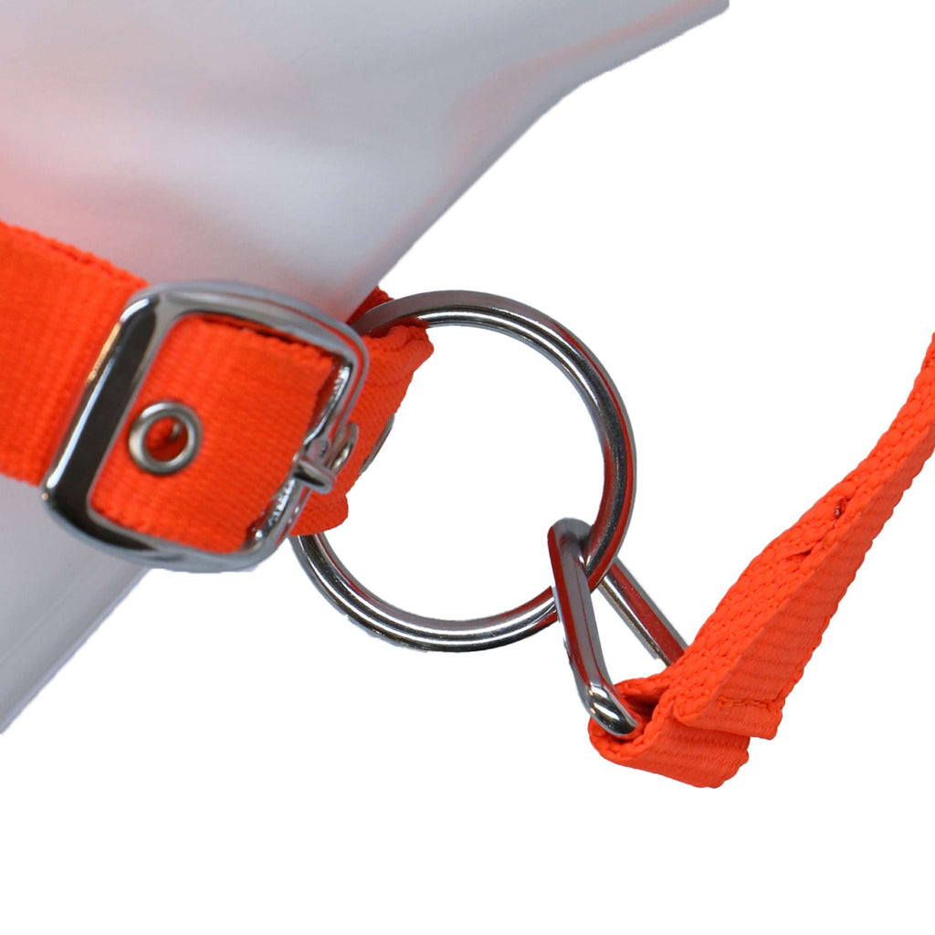 HKM Cavezza Stars Softice Arancione neon