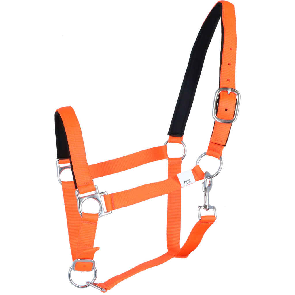 HKM Cavezza Stars Softice Arancione neon