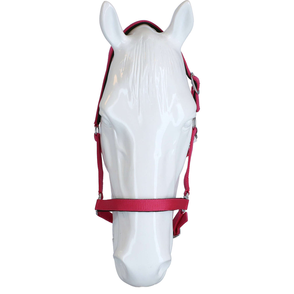 HKM Cavezza Stars Softice Rosa