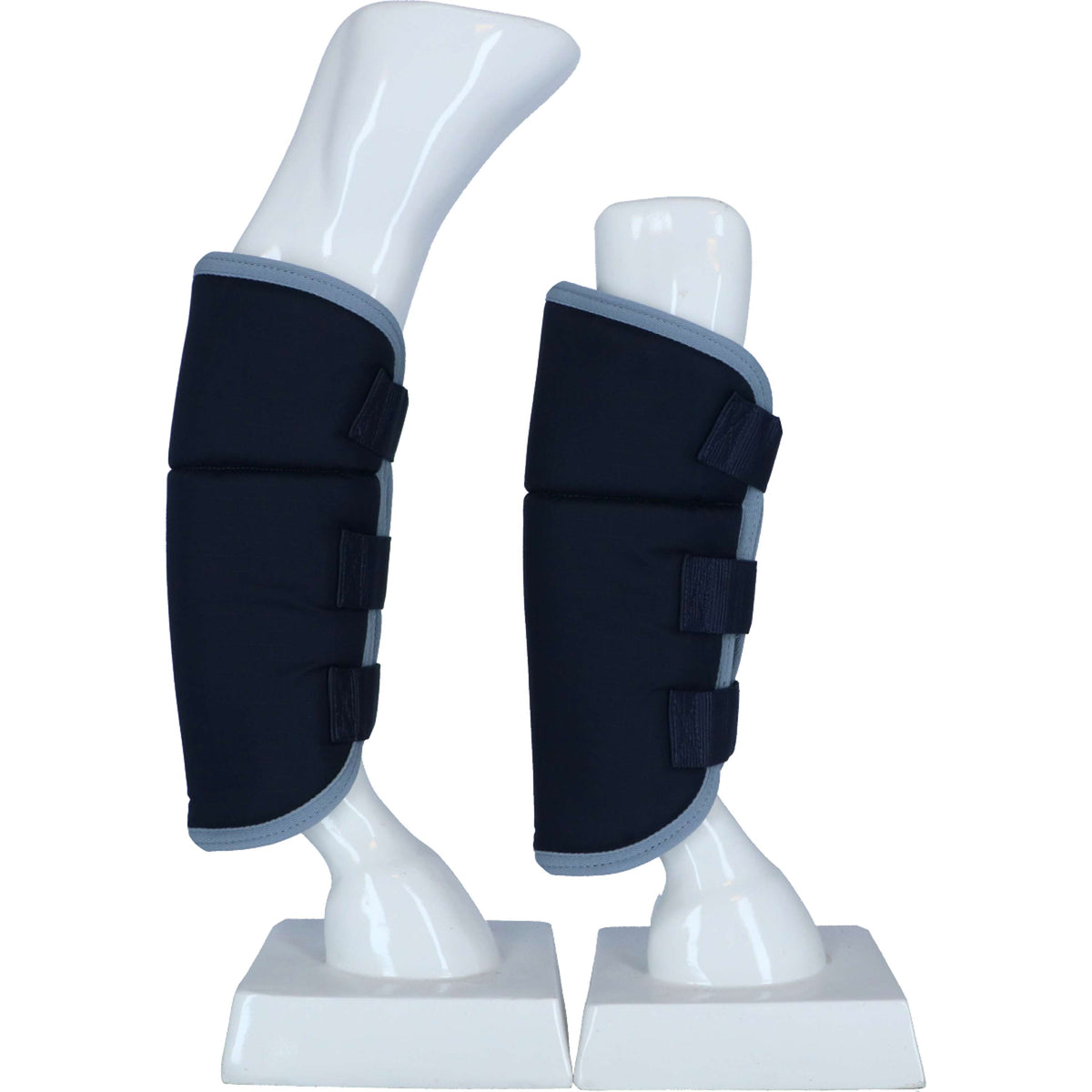 Premiere Protettori da trasporto Ayc Blu